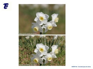 CEFET-RJ - Coordenação de Artes
 