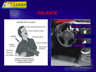 CABEZA Y CARA
ABDOMEN
TORAX
VOLANTE
 