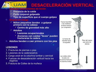 Factores determinantes de lesión
Factores determinantes de lesión
 Distancia de la caída
Distancia de la caída
 Parte corporal golpeada
Parte corporal golpeada
 Tipo de superficie que el cuerpo golpea
Tipo de superficie que el cuerpo golpea
Grupos en riesgo
Grupos en riesgo
 Niños pequeños tienden a golpear
Niños pequeños tienden a golpear
primero con la cabeza
primero con la cabeza
 Centro de gravedad más alto
Centro de gravedad más alto
 Adultos
Adultos
 Lesiones ocupacionales
Lesiones ocupacionales
 Ancianos con caídas “leves” pueden
Ancianos con caídas “leves” pueden
fracturarse la cadera.
fracturarse la cadera.
Adultos tienden a caer primero con los pies
Adultos tienden a caer primero con los pies
LESIONES
LESIONES
1. Fracturas de piernas o pies
1. Fracturas de piernas o pies
2. Lesiones de la cadera/pelvis
2. Lesiones de la cadera/pelvis
3. Carga axial en la columna lumbar y cervical
3. Carga axial en la columna lumbar y cervical
4. Fuerzas de desaceleración vertical hacia los
4. Fuerzas de desaceleración vertical hacia los
órganos
órganos
5. Fractura de Colles de la muñeca
5. Fractura de Colles de la muñeca
DESACELERACIÓN VERTICAL
 