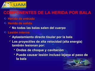 Herida de entrada
Herida de entrada
Herida de salida
Herida de salida
 No todas las balas salen del cuerpo
No todas las balas salen del cuerpo
Lesión interna
Lesión interna
 Aplastamiento directo tisular por la bala
Aplastamiento directo tisular por la bala
 Los proyectiles de alta velocidad (alta energía)
Los proyectiles de alta velocidad (alta energía)
también lesionan por:
también lesionan por:
 Ondas de choque y cavitación
Ondas de choque y cavitación
 Puede causar lesión incluso lejana al paso de
Puede causar lesión incluso lejana al paso de
la bala
la bala
COMPONENTES DE LA HERIDA POR BALA
 