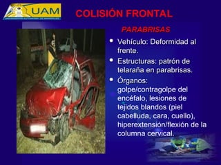  Vehículo: Deformidad al
Vehículo: Deformidad al
frente.
frente.
 Estructuras: patrón de
Estructuras: patrón de
telaraña en parabrisas.
telaraña en parabrisas.
 Órganos:
Órganos:
golpe/contragolpe del
encéfalo, lesiones de
tejidos blandos (piel
cabelluda, cara, cuello),
hiperextensión/flexión de la
columna cervical.
PARABRISAS
PARABRISAS
COLISIÓN FRONTAL
 