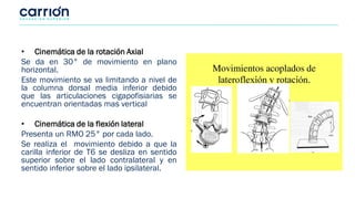Sentido Axial cinematica_de_la_columna_vertebral.pdf