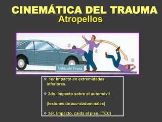  1er Impacto en extremidades
inferiores.
 2do. Impacto sobre el automóvil
(lesiones tóraco-abdominales)
 3er. Impacto, caída al piso. (TEC)
Atropellos
CINEMÁTICA DEL TRAUMA
Vehículo Frena
 