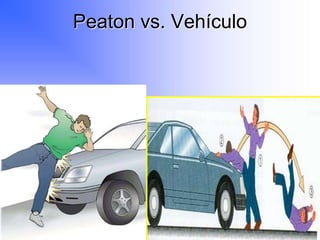 Peaton vs. Vehículo
Copyright © 2003, Elsevier Science (USA). All rights reserved.
2-36
Sedan SUV
 