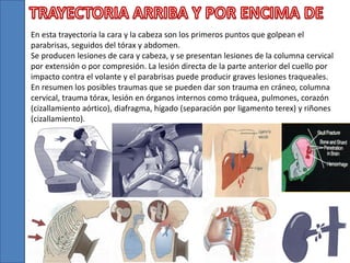 En esta trayectoria la cara y la cabeza son los primeros puntos que golpean el
parabrisas, seguidos del tórax y abdomen.
Se producen lesiones de cara y cabeza, y se presentan lesiones de la columna cervical
por extensión o por compresión. La lesión directa de la parte anterior del cuello por
impacto contra el volante y el parabrisas puede producir graves lesiones traqueales.
En resumen los posibles traumas que se pueden dar son trauma en cráneo, columna
cervical, trauma tórax, lesión en órganos internos como tráquea, pulmones, corazón
(cizallamiento aórtico), diafragma, hígado (separación por ligamento terex) y riñones
(cizallamiento).
 