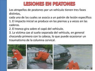 Los atropellos de peatones por un vehículo tienen tres fases
distintas,
cada una de las cuales se asocia a un patrón de lesión específico:
1. El impacto inicial se produce en las piernas y a veces en las
caderas.
2. El tronco gira sobre el capó del vehículo.
3. La víctima cae al suelo separada del vehículo, en general
chocando primero con la cabeza, lo que puede ocasionar un
traumatismo de la columna cervical.

 