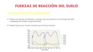 FUERZAS DE REACCIÓN DEL SUELO
• FUERZA DE REACCIÓN LONGITUDINAL
 Traduce las fuerzas de frenado y empuje, que se producen en el choque de talón
y despegue de antepié respectivamente.
 Ambas fuerzas son mucho menores que la fuerza vertical.
 