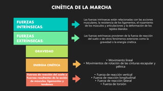 Fuerzas de reacción del suelo y
Fuerzas resultantes de la acción
de músculos, ligamentos y
tendones
CINÉTICA DE LA MARCHA
FUERZAS
INTRÍNSECAS:
FUERZAS
EXTRÍNSECAS:
GRAVEDAD
ENERGIA CINÉTICA
Las fuerzas intrínsecas están relacionadas con las acciones
musculares, la resistencia de los ligamentos, el rozamiento
de los músculos y articulaciones y la deformación de los
tejidos blandos
• Fuerza de reacción vertical
• Fuerza de reacción longitudinal
• Fuerza de reacción lateral
• Fuerza de torsión
• Movimiento lineal
• Movimientos de rotación de las cinturas escapular y
pélvica
Las fuerzas extrínsecas provienen de la fuerza de reacción
del suelo o de otros fenómenos exteriores como la
gravedad o la energía cinética.
 