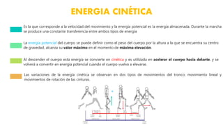 ENERGIA CINÉTICA
Es la que corresponde a la velocidad del movimiento y la energía potencial es la energía almacenada. Durante la marcha
se produce una constante transferencia entre ambos tipos de energía
La energía potencial del cuerpo se puede definir como el peso del cuerpo por la altura a la que se encuentra su centro
de gravedad, alcanza su valor máximo en el momento de máxima elevación.
Al descender el cuerpo esta energía se convierte en cinética y es utilizada en acelerar el cuerpo hacia delante, y se
volverá a convertir en energía potencial cuando el cuerpo vuelva a elevarse.
Las variaciones de la energía cinética se observan en dos tipos de movimientos del tronco; movimiento lineal y
movimientos de rotación de las cinturas.
+
 