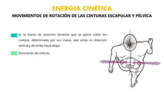 Es la fuerza de atracción terrestre que se ejerce sobre los
cuerpos, determinada por sus masas, que actúa en dirección
vertical y de arriba hacia abajo.
MOVIMIENTOS DE ROTACIÓN DE LAS CINTURAS ESCAPULAR Y PÉLVICA
ENERGIA CINÉTICA
Disociación de cinturas
 