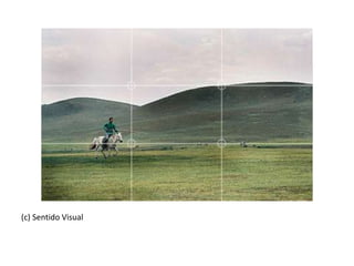 (c) Sentido Visual
 