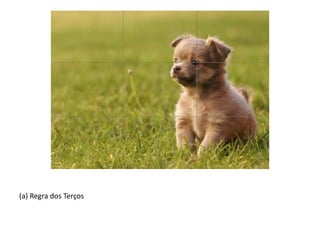 (a) Regra dos Terços
 