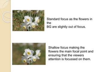 Standard focus as the flowers in
the
BG are slightly out of focus.
Shallow focus making the
flowers the main focal point and
ensuring that the viewers
attention is focussed on them.
 
