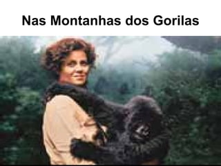 Nas Montanhas dos Gorilas 