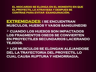 EL MIOCARDIO SE ELONGA EN EL MOMENTO EN QUE
EL PROYECTIL LO ATRAVIESA Y DESPUES SE
CONTRAE PARA EVITAR EXANGUINACIÒN.
EXTREMIDADES:
EXTREMIDADES: ( SE ENCUENTRAN
MUSCULOS, HUESOS Y VASOS SANGUINEOS)
 CUANDO LOS HUESOS SON IMPACTADOS
LOS FRAGMENTOS OSEOS SE CONVIERTEN
EN PROYECTILES SECUNDARIOS LACERANDO
TEJIDOS.
 LOS MUSCULOS SE ELONGAN ALEJANDOSE
DEL LA TRAYECTORIA DEL PROYECTIL LO
CUAL CAUSA RUPTURA Y HEMORRAGIA.
 