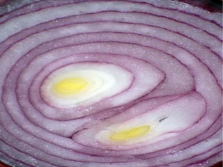 Roberto DADDA   Milano, November 22, 2012
 