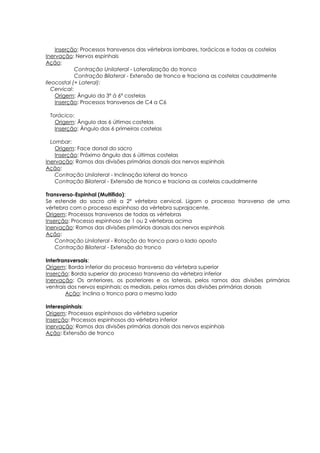 Inserção: Processos transversos das vértebras lombares, torácicas e todas as costelas
Inervação: Nervos espinhais
Ação:
Contração Unilateral - Lateralização do tronco
Contração Bilateral - Extensão de tronco e traciona as costelas caudalmente
Ileocostal (+ Lateral):
Cervical:
Origem: Ângulo da 3ª à 6ª costelas
Inserção: Processos transversos de C4 a C6
Torácico:
Origem: Ângulo das 6 últimas costelas
Inserção: Ângulo das 6 primeiras costelas
Lombar:
Origem: Face dorsal do sacro
Inserção: Próximo ângulo das 6 últimas costelas
Inervação: Ramos das divisões primárias dorsais dos nervos espinhais
Ação:
Contração Unilateral - Inclinação lateral do tronco
Contração Bilateral - Extensão de tronco e traciona as costelas caudalmente
Transverso-Espinhal (Multífido):
Se estende do sacro até a 2ª vértebra cervical. Ligam o processo transverso de uma
vértebra com o processo espinhoso da vértebra suprajacente.
Origem: Processos transversos de todas as vértebras
Inserção: Processo espinhoso de 1 ou 2 vértebras acima
Inervação: Ramos das divisões primárias dorsais dos nervos espinhais
Ação:
Contração Unilateral - Rotação do tronco para o lado oposto
Contração Bilateral - Extensão do tronco
Intertransversais:
Origem: Borda inferior do processo transverso da vértebra superior
Inserção: Borda superior do processo transverso da vértebra inferior
Inervação: Os anteriores, os posteriores e os laterais, pelos ramos das divisões primárias
ventrais dos nervos espinhais; os mediais, pelos ramos das divisões primárias dorsais
Ação: Inclina o tronco para o mesmo lado
Interespinhais:
Origem: Processos espinhosos da vértebra superior
Inserção: Processos espinhosos da vértebra inferior
Inervação: Ramos das divisões primárias dorsais dos nervos espinhais
Ação: Extensão de tronco
 
