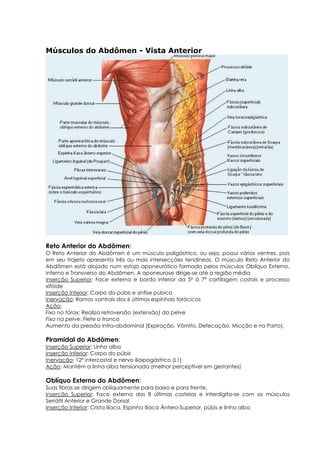 Músculos do Abdômen - Vista Anterior
Reto Anterior do Abdômen:
O Reto Anterior do Abdômen é um músculo poligástrico, ou seja, possui vários ventres, pois
em seu trajeto apresenta três ou mais intersecções tendíneas. O músculo Reto Anterior do
Abdômen está alojado num estojo aponeurótico formado pelos músculos Oblíquo Externo,
Interno e Transverso do Abdômen. A aponeurose dirige-se até a região média.
Inserção Superior: Face externa e borda inferior da 5ª à 7ª cartilagem costais e processo
xifóide
Inserção Inferior: Corpo do púbis e sínfise púbica
Inervação: Ramos vantrais dos 6 últimos espinhais torácicos
Ação:
Fixo no tórax: Realiza retroversão (extensão) da pelve
Fixo na pelve: Flete o tronco
Aumento da pressão intra-abdominal (Expiração, Vômito, Defecação, Micção e no Parto).
Piramidal do Abdômen:
Inserção Superior: Linha alba
Inserção Inferior: Corpo do púbis
Inervação: 12º intercostal e nervo ilioipogástrico (L1)
Ação: Mantém a linha alba tensionada (melhor perceptível em gestantes)
Oblíquo Externo do Abdômen:
Suas fibras se dirigem obliquamente para baixo e para frente.
Inserção Superior: Face externa das 8 últimas costelas e interdigita-se com os músculos
Serrátil Anterior e Grande Dorsal
Inserção Inferior: Crista íliaca, Espinha Ilíaca Ântero-Superior, púbis e linha alba
 