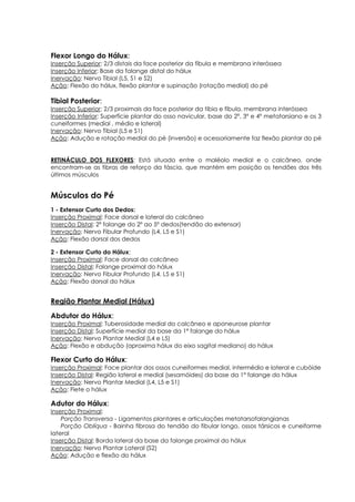 Flexor Longo do Hálux:
Inserção Superior: 2/3 distais da face posterior da fíbula e membrana interóssea
Inserção Inferior: Base da falange distal do hálux
Inervação: Nervo Tibial (L5, S1 e S2)
Ação: Flexão do hálux, flexão plantar e supinação (rotação medial) do pé
Tibial Posterior:
Inserção Superior: 2/3 proximais da face posterior da tíbia e fíbula, membrana interóssea
Inserção Inferior: Superfície plantar do osso navicular, base do 2º, 3º e 4º metatarsiano e os 3
cuneiformes (medial , médio e lateral)
Inervação: Nervo Tibial (L5 e S1)
Ação: Adução e rotação medial do pé (inversão) e acessoriamente faz flexão plantar do pé
RETINÁCULO DOS FLEXORES: Está situado entre o maléolo medial e o calcâneo, onde
encontram-se as fibras de reforço da fáscia, que mantém em posição os tendões dos três
últimos músculos
Músculos do Pé
1 - Extensor Curto dos Dedos:
Inserção Proximal: Face dorsal e lateral do calcâneo
Inserção Distal: 2ª falange do 2º ao 5º dedos(tendão do extensor)
Inervação: Nervo Fibular Profundo (L4, L5 e S1)
Ação: Flexão dorsal dos dedos
2 - Extensor Curto do Hálux:
Inserção Proximal: Face dorsal do calcâneo
Inserção Distal: Falange proximal do hálux
Inervação: Nervo Fibular Profundo (L4, L5 e S1)
Ação: Flexão dorsal do hálux
Região Plantar Medial (Hálux)
Abdutor do Hálux:
Inserção Proximal: Tuberosidade medial do calcâneo e aponeurose plantar
Inserção Distal: Superfície medial da base da 1ª falange do hálux
Inervação: Nervo Plantar Medial (L4 e L5)
Ação: Flexão e abdução (aproxima hálux do eixo sagital mediano) do hálux
Flexor Curto do Hálux:
Inserção Proximal: Face plantar dos ossos cuneiformes medial, intermédio e lateral e cubóide
Inserção Distal: Região lateral e medial (sesamóides) da base da 1ª falange do hálux
Inervação: Nervo Plantar Medial (L4, L5 e S1)
Ação: Flete o hálux
Adutor do Hálux:
Inserção Proximal:
Porção Transversa - Ligamentos plantares e articulações metatarsofalangianas
Porção Oblíqua - Bainha fibrosa do tendão do fibular longo, ossos társicos e cuneiforme
lateral
Inserção Distal: Borda lateral da base da falange proximal do hálux
Inervação: Nervo Plantar Lateral (S2)
Ação: Adução e flexão do hálux
 