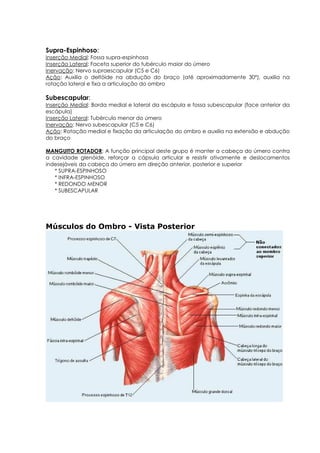 Supra-Espinhoso:
Inserção Medial: Fossa supra-espinhosa
Inserção Lateral: Faceta superior do tubérculo maior do úmero
Inervação: Nervo supraescapular (C5 e C6)
Ação: Auxilia o deltóide na abdução do braço (até aproximadamente 30°), auxilia na
rotação lateral e fixa a articulação do ombro
Subescapular:
Inserção Medial: Borda medial e lateral da escápula e fossa subescapular (face anterior da
escápula)
Inserção Lateral: Tubérculo menor do úmero
Inervação: Nervo subescapular (C5 e C6)
Ação: Rotação medial e fixação da articulação do ombro e auxilia na extensão e abdução
do braço
MANGUITO ROTADOR: A função principal deste grupo é manter a cabeça do úmero contra
a cavidade glenóide, reforçar a cápsula articular e resistir ativamente e deslocamentos
indesejáveis da cabeça do úmero em direção anterior, posterior e superior
* SUPRA-ESPINHOSO
* INFRA-ESPINHOSO
* REDONDO MENOR
* SUBESCAPULAR
Músculos do Ombro - Vista Posterior
 