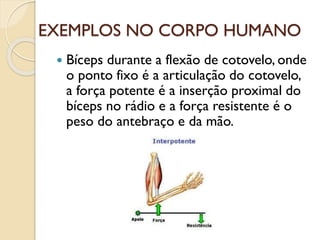 EXEMPLOS NO CORPO HUMANO
 Bíceps durante a flexão de cotovelo, onde
o ponto fixo é a articulação do cotovelo,
a força potente é a inserção proximal do
bíceps no rádio e a força resistente é o
peso do antebraço e da mão.
 