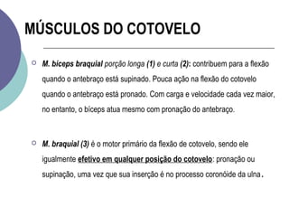 MÚSCULOS DO COTOVELO

    M. braquiorradial (4): quando o antebraço está em posição
     neutra (entre as posições de sup...