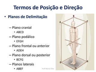 Termos de Posição e Direção
• Planos de Delimitação
– Plano cranial
• ABCD
– Plano podálico
• EFGH
– Plano frontal ou anterior
• ADEH
– Plano dorsal ou posterior
• BCFG
– Planos laterais
• ABEF Profº Marcos Silva
 