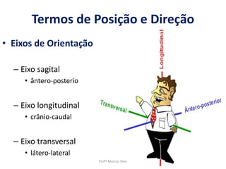 Termos de Posição e Direção
• Eixos de Orientação
– Eixo sagital
• ântero-posterio
– Eixo longitudinal
• crânio-caudal
– Eixo transversal
• látero-lateral
Profº Marcos Silva
 