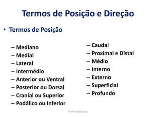 Termos de Posição e Direção
• Termos de Posição
– Mediano
– Medial
– Lateral
– Intermédio
– Anterior ou Ventral
– Posterior ou Dorsal
– Cranial ou Superior
– Podálico ou Inferior
– Caudal
– Proximal e Distal
– Médio
– Interno
– Externo
– Superficial
– Profundo
Profº Marcos Silva
 
