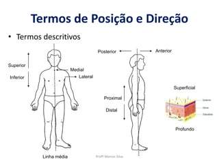 • Termos descritivos
Superior
Inferior
Posterior Anterior
Linha média
Medial
Lateral
Proximal
Distal
Superficial
Profundo
Termos de Posição e Direção
Profº Marcos Silva
 