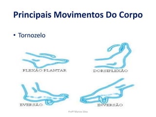 Principais Movimentos Do Corpo
Profº Marcos Silva
• Tornozelo
 