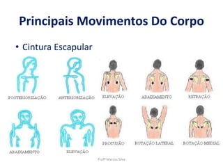 Principais Movimentos Do Corpo
Profº Marcos Silva
• Cintura Escapular
 