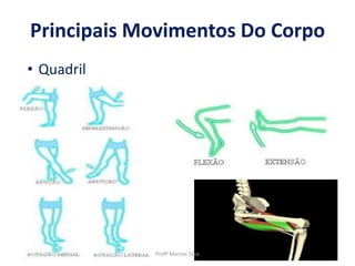 Principais Movimentos Do Corpo
Profº Marcos Silva
• Quadril
 