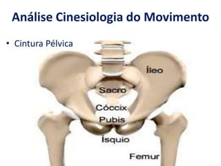 Profº Marcos Silva
Análise Cinesiologia do Movimento
• Cintura Pélvica
 