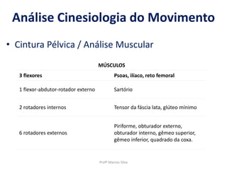 Profº Marcos Silva
Análise Cinesiologia do Movimento
• Cintura Pélvica / Análise Muscular
MÚSCULOS
3 flexores Psoas, ilíaco, reto femoral
1 flexor-abdutor-rotador externo Sartório
2 rotadores internos Tensor da fáscia lata, glúteo mínimo
6 rotadores externos
Piriforme, obturador externo,
obturador interno, gêmeo superior,
gêmeo inferior, quadrado da coxa.
 