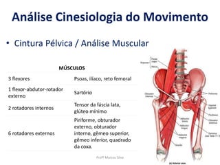 Profº Marcos Silva
Análise Cinesiologia do Movimento
• Cintura Pélvica / Análise Muscular
MÚSCULOS
3 flexores Psoas, ilíaco, reto femoral
1 flexor-abdutor-rotador
externo
Sartório
2 rotadores internos
Tensor da fáscia lata,
glúteo mínimo
6 rotadores externos
Piriforme, obturador
externo, obturador
interno, gêmeo superior,
gêmeo inferior, quadrado
da coxa.
 