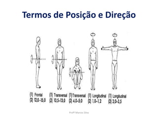 Termos de Posição e Direção
Profº Marcos Silva
 