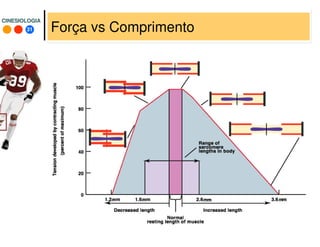 31
CINESIOLOGIACINESIOLOGIA
Força vs Comprimento
 