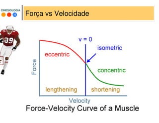35
CINESIOLOGIACINESIOLOGIA
Força vs Velocidade
 