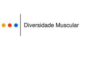 Diversidade Muscular
 