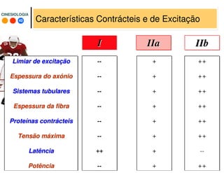 40
CINESIOLOGIACINESIOLOGIA
++
++
++
++
++
++
--
++
II IIbIIbIIaIIa
+
+
+
+
+
+
+
+
Limiar de excitaLimiar de excitaççãoão
Espessura do axEspessura do axóónionio
Sistemas tubularesSistemas tubulares
Espessura da fibraEspessura da fibra
ProteProteíínas contrnas contráácteiscteis
Tensão mTensão mááximaxima
LatênciaLatência
PotênciaPotência
--
--
--
--
--
--
++
--
Características Contrácteis e de Excitação
 