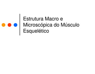 Estrutura Macro e
Microscópica do Músculo
Esquelético
 