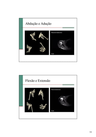 11
Abdução e Adução
Flexão e Extensão
 