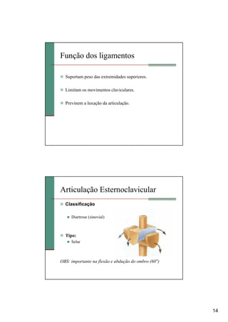 14
Função dos ligamentos
Suportam peso das extremidades superiores.
Limitam os movimentos claviculares.
Previnem a luxação da articulação.
Articulação Esternoclavicular
Classificação
Diartrose (sinovial)
Tipo:
Selar
OBS: importante na flexão e abdução do ombro (60°)
 