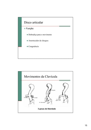 15
Disco articular
Função:
Dobradiça para o movimento
Amortecedor de choques
Congruência
Movimentos da Clavícula
3 graus de liberdade
 
