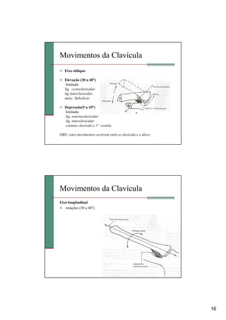 16
Movimentos da Clavícula
Eixo oblíquo
Elevação (30 a 40°)
limitada:
lig. costoclavicular
lig interclavicular.
músc. Subclávio
Depressão(5 a 10°)
limitada:
lig. esternoclavicular
lig. interclavicular
contato clavícula e 1ª costela
OBS: estes movimentos ocorrem entre a clavícula e o disco
Movimentos da Clavícula
Eixo longitudinal
rotações (30 a 40°)
 