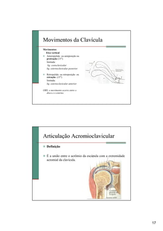 17
Movimentos da Clavícula
Movimentos:
Eixo vertical
Anteropulsão ou anteposição ou
protração (15°)
limitada:
lig. costoclavicular
lig. esternoclavicular posterior
Retropulsão ou retroposição ou
retração (15°)
limitada:
lig. esternoclavicular anterior
OBS: o movimento ocorre entre o
disco e o esterno.
Articulação Acromioclavicular
Definição
É a união entre o acrômio da escápula com a extremidade
acromial da clavícula.
 