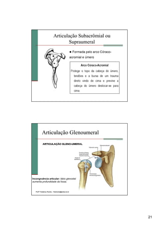 21
Articulação Subacrômial ou
Supraumeral
Articulação Glenoumeral
ProfProfºº Frederico RochaFrederico Rocha –– fredrocha@ulbrafredrocha@ulbra--to.to.brbr
Incongruência articular: lábio glenoidal
aumenta profundidade da fossa.
 
