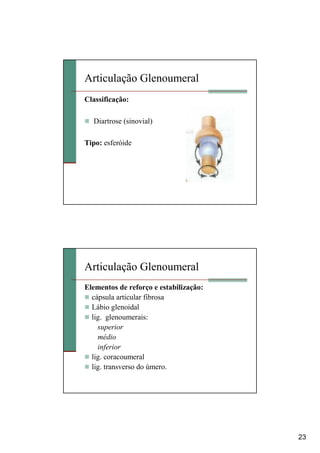 23
Articulação Glenoumeral
Classificação:
Diartrose (sinovial)
Tipo: esferóide
Articulação Glenoumeral
Elementos de reforço e estabilização:
cápsula articular fibrosa
Lábio glenoidal
lig. glenoumerais:
superior
médio
inferior
lig. coracoumeral
lig. transverso do úmero.
 