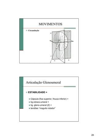 28
Circundução
MOVIMENTOS
Articulação Glenoumeral
ESTABILIDADE =
Cápsula (fixa superior, frouxa inferior) +
lig.córaco-umeral +
lig. gleno-umeral (Z) +
tendões “maguito rotador”
 